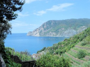 Vineyards dot the hillsides