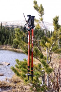 Mt. Smith Pyrite 7075 Trekking Poles.